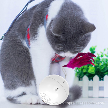 Motion Activated Cat Ball Cat Toys Interactive